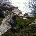 The long drop